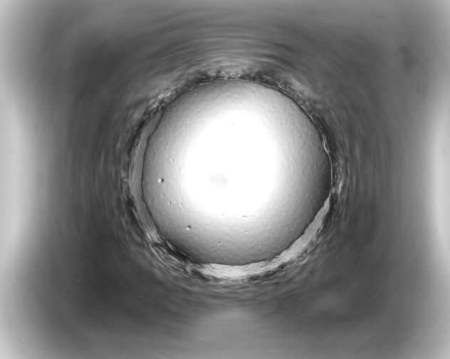 X0000084581109200703161735