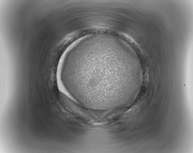 X0000084581110200703161736