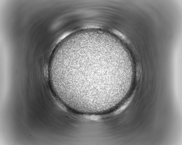 X0000084581113200703161736
