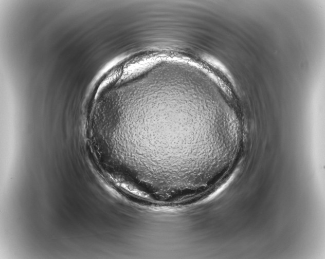 X0000084581114200703161736