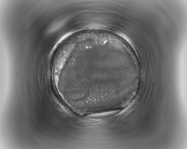 X0000084581115200703161736