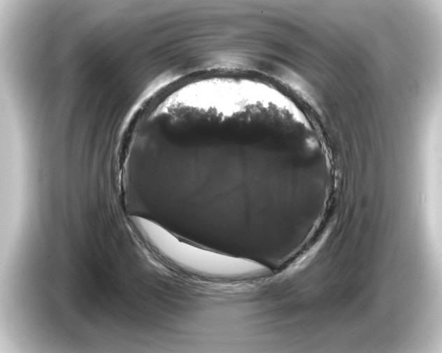 X0000084581117200703161736