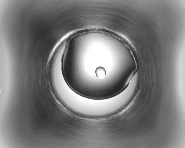 X0000084581118200703161736