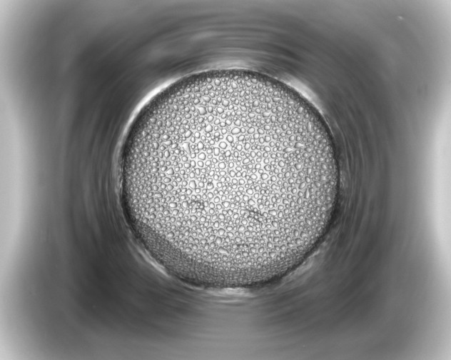 X0000084581119200703161736
