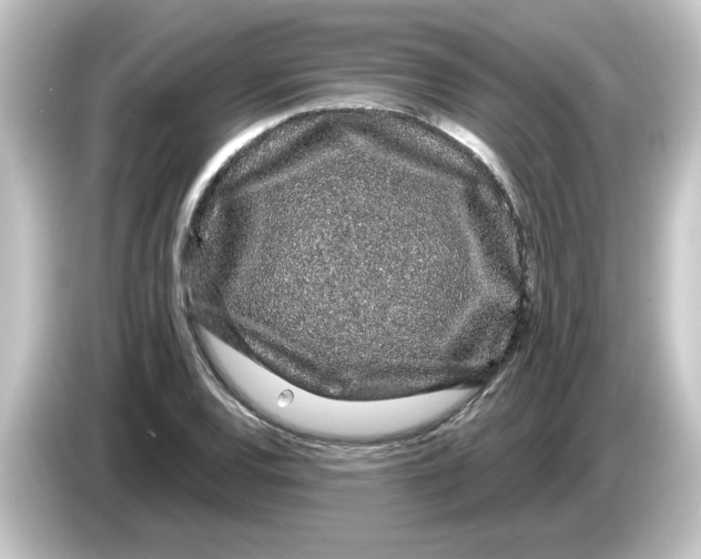 X0000084581120200703161736