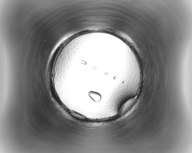 X0000084581122200703161736