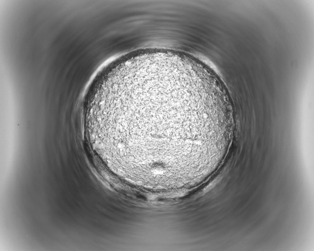X0000084581123200703161736