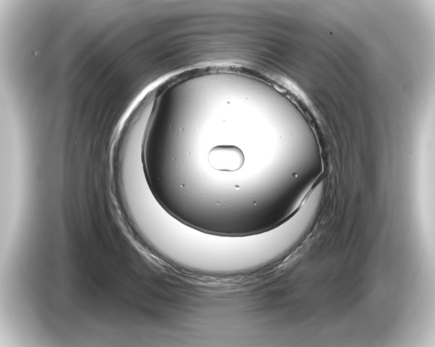 X0000084581124200703161736