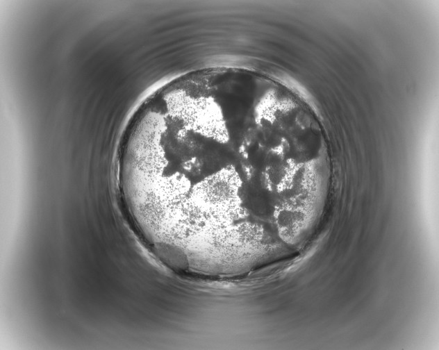 X0000084581125200703161736
