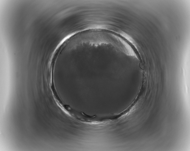 X0000084581127200703161736