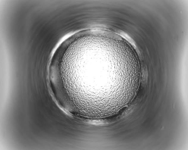 X0000084581128200703161736