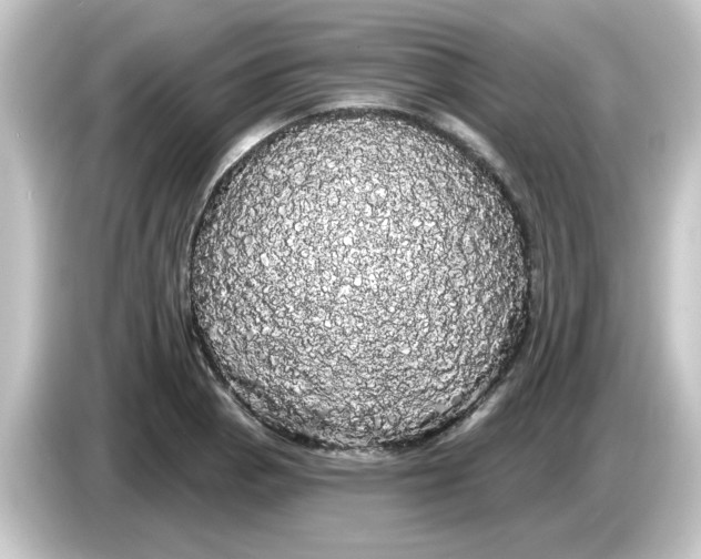 X0000084581129200703161736