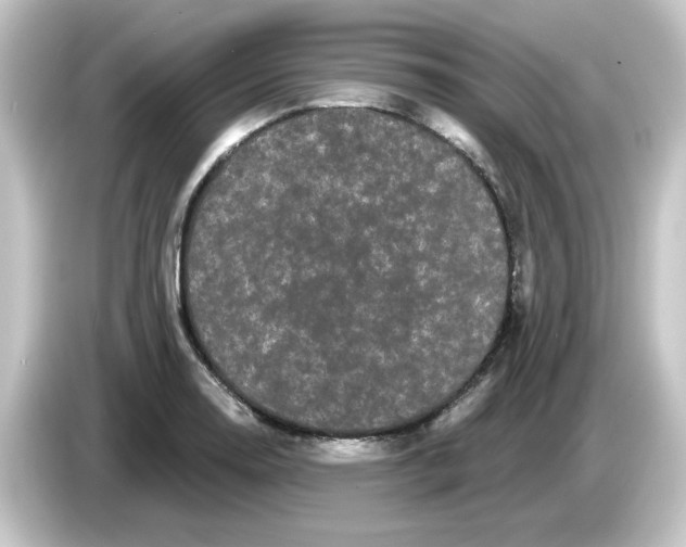 X0000084581130200703161736