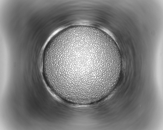 X0000084581131200703161736