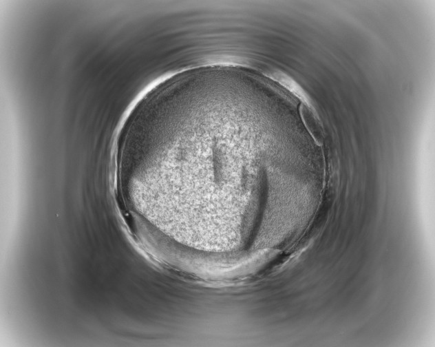 X0000084581132200703161736