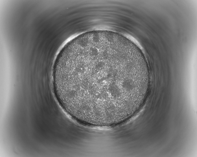 X0000084581133200703161736