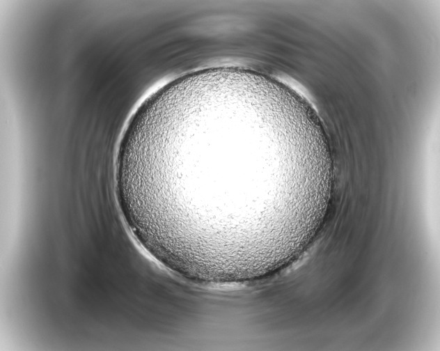 X0000084581135200703161736