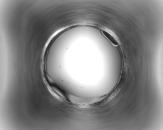 X0000084581136200703161736