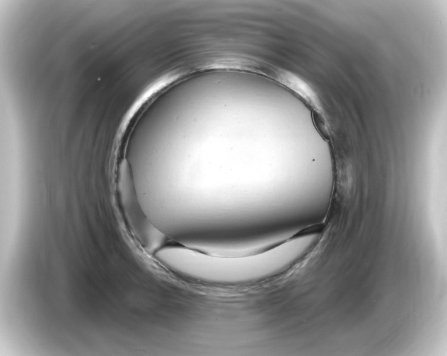 X0000084581138200703161736