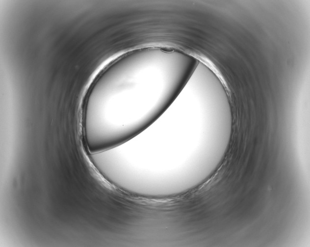 X0000084581140200703161736