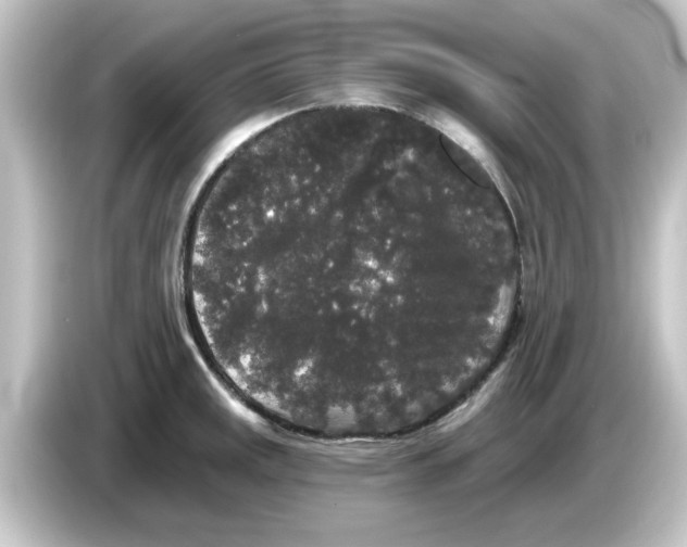 X0000084581141200703161736