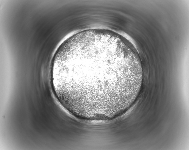 X0000084581142200703161736
