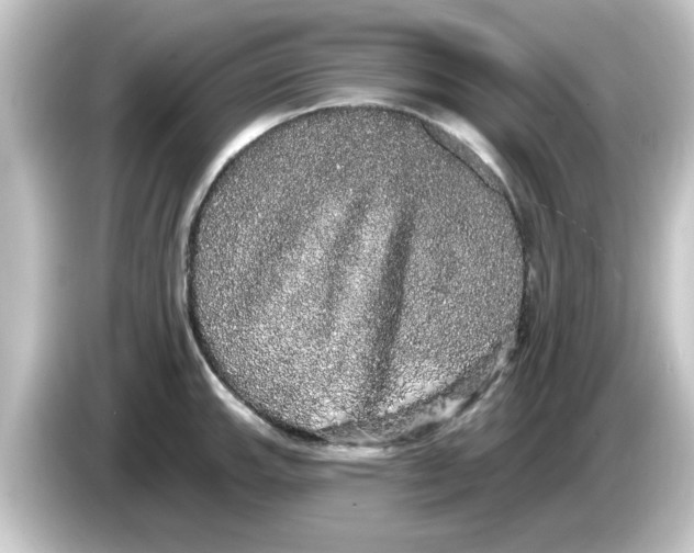 X0000084581143200703161736