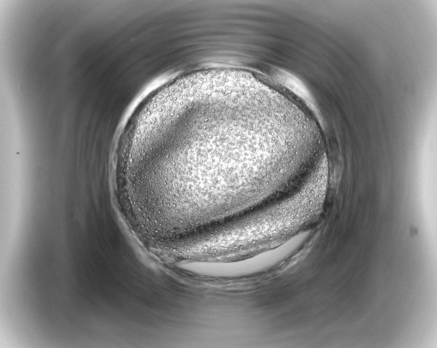 X0000084581146200703161736