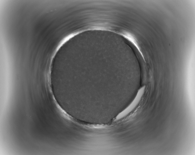 X0000084581147200703161736