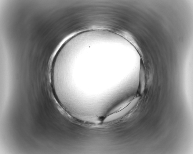 X0000084581148200703161736