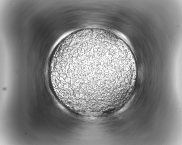 X0000084581149200703161736