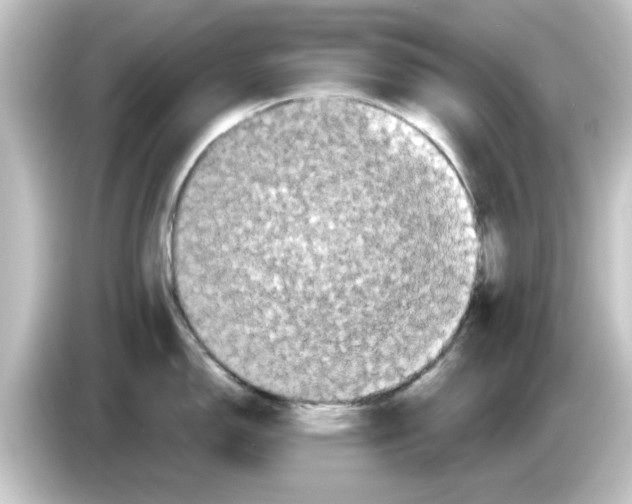 X0000084581150200703161736
