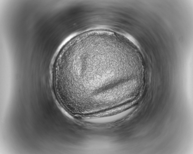 X0000084581151200703161736
