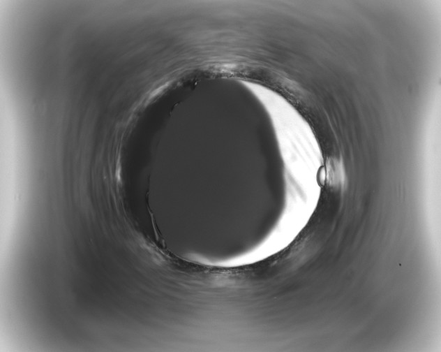 X0000084581155200703161735
