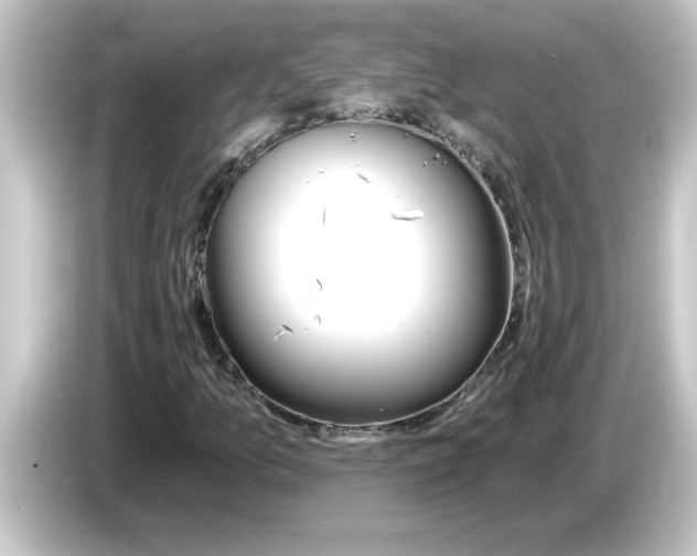 X0000084581157200703161735