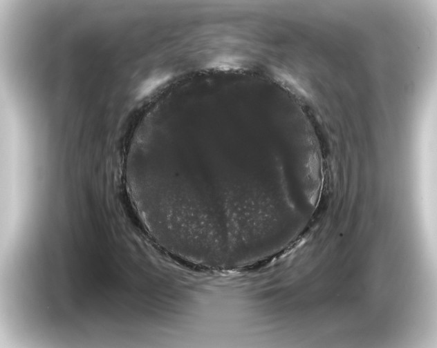 X0000084581158200703161735