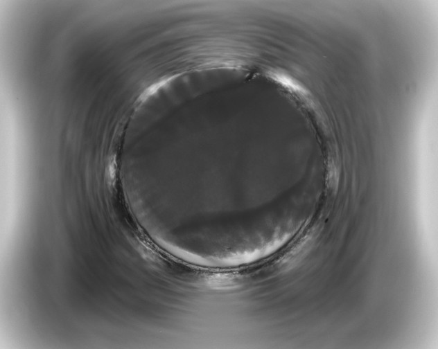 X0000084581161200703161735