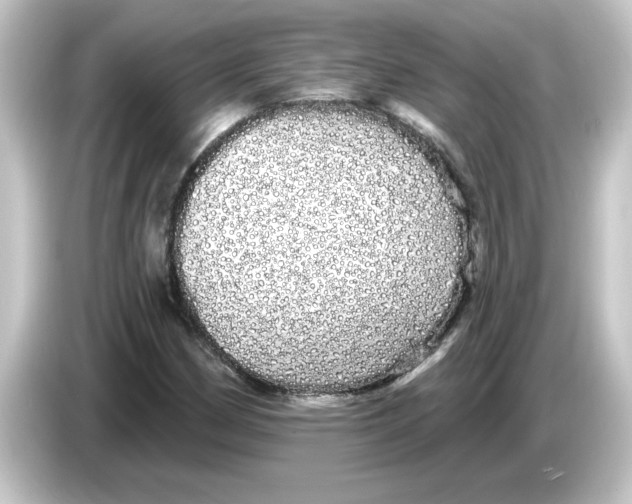 X0000084581162200703161735