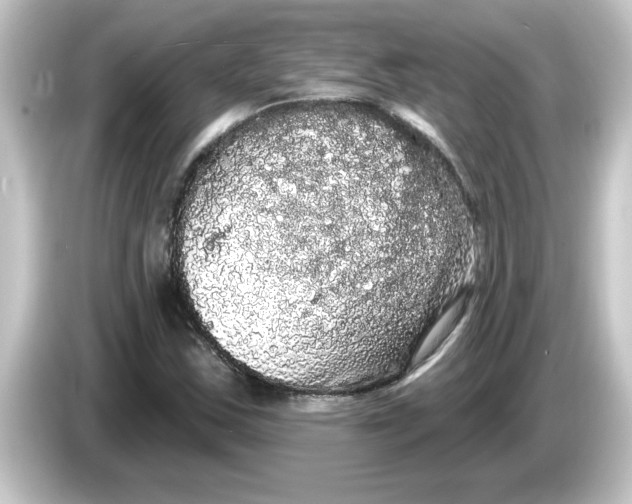 X0000084581163200703161735