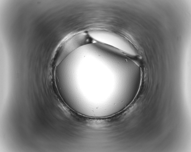 X0000084581164200703161735