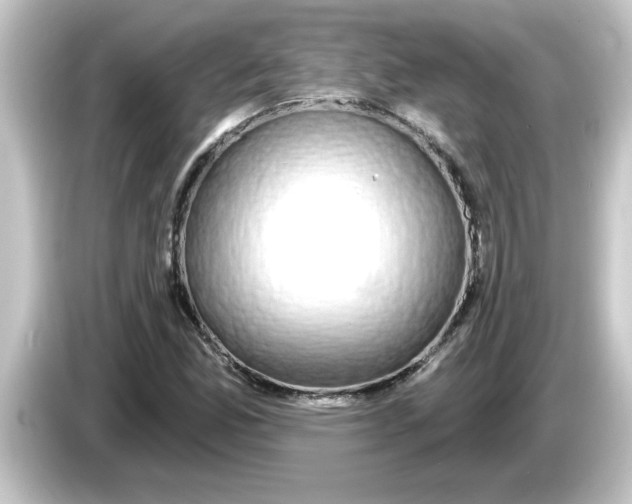 X0000084581165200703161735