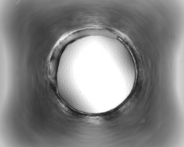 X0000084581168200703161735