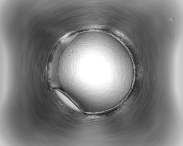 X0000084581169200703161735