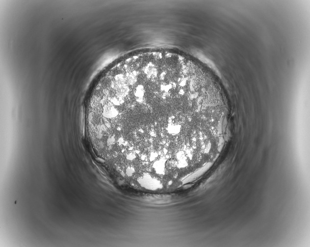 X0000084581171200703161735