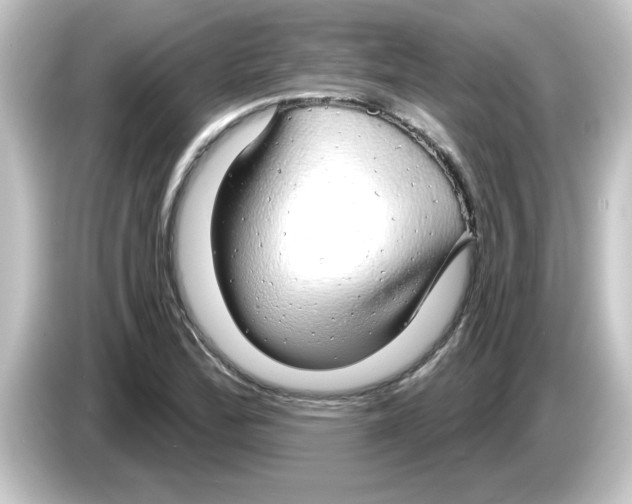 X0000084581172200703161735