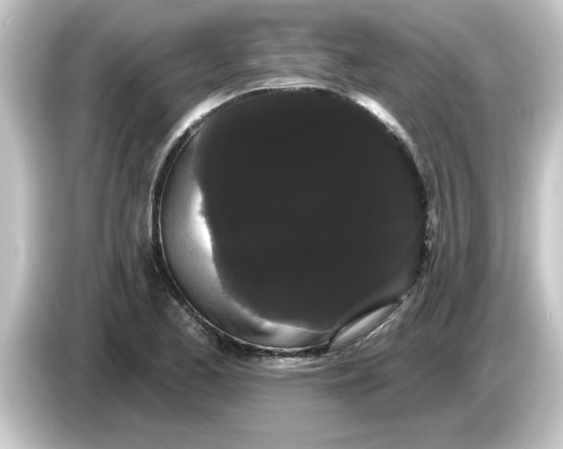 X0000084581173200703161735