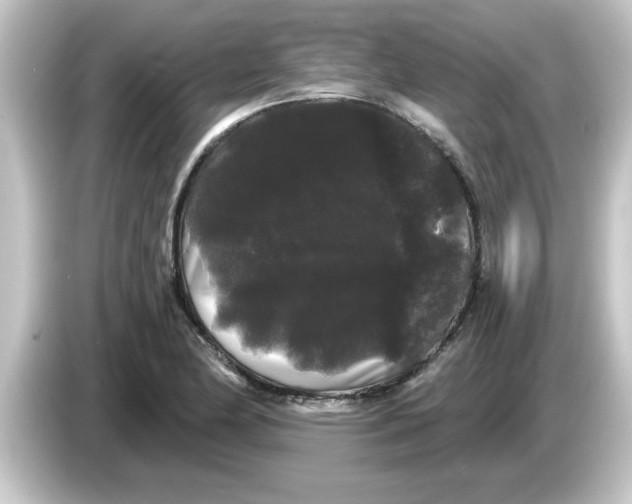 X0000084581174200703161735
