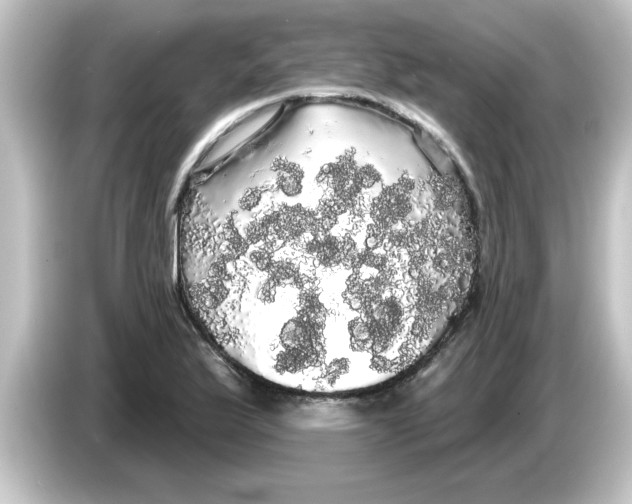 X0000084581175200703161735