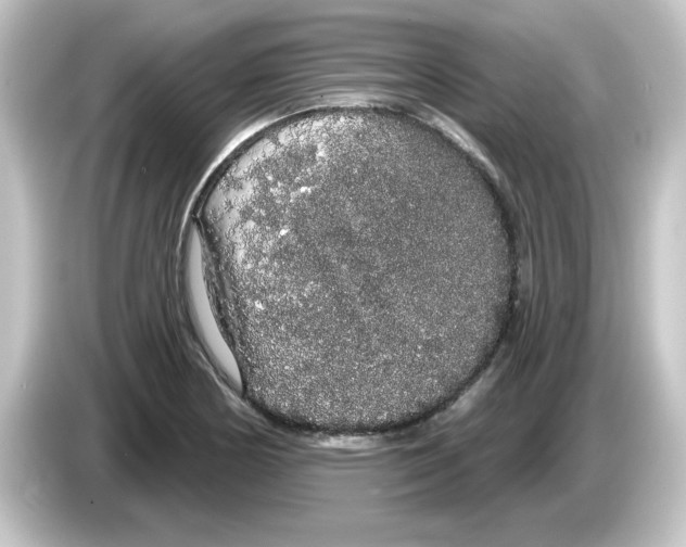 X0000084581178200703161735
