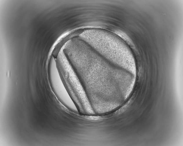 X0000084581180200703161735